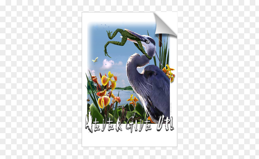 Frog Swallow Great Blue Heron Bird Grey PNG