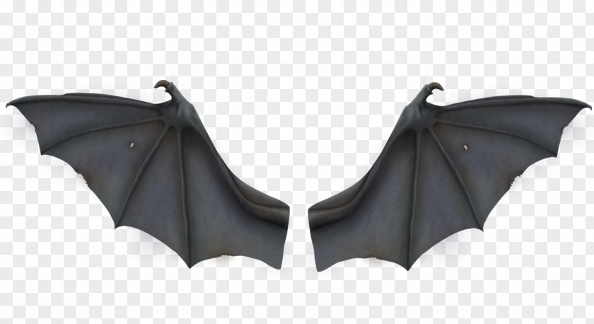 Gray Bat Wings Wing Development Flight Clip Art PNG