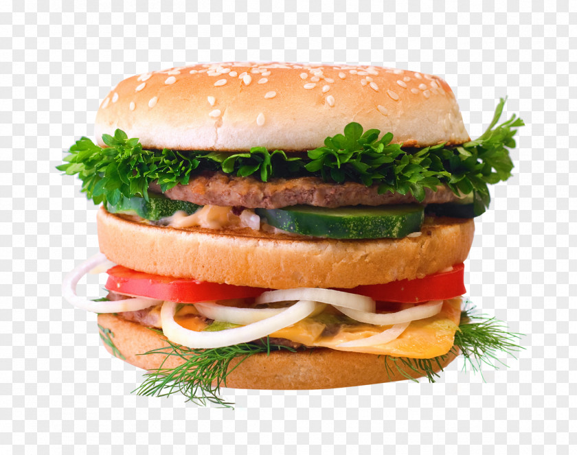Hamburger Cheeseburger Whopper Buffalo Burger McDonalds Big Mac PNG