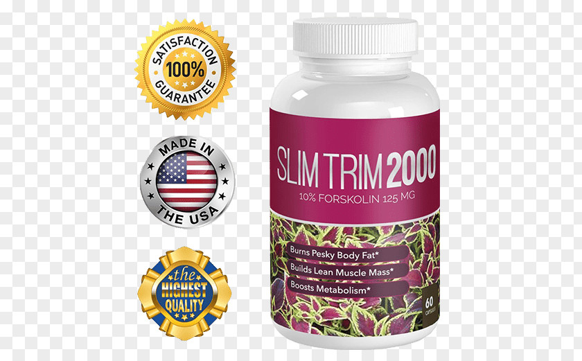 Health Dietary Supplement Weight Loss Forskolin Adipose Tissue Anti-obesity Medication PNG