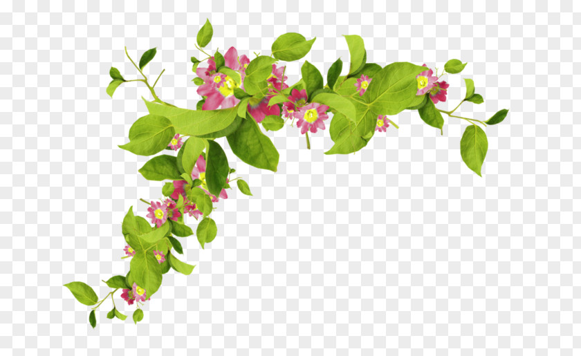 Leaves Flowers Lossless Compression Clip Art PNG