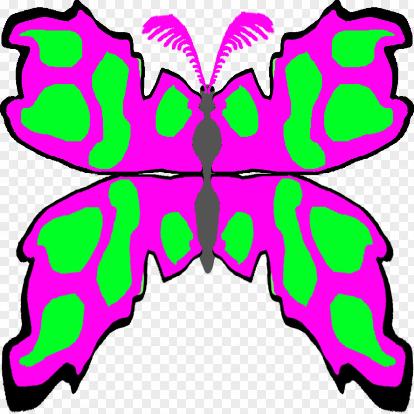 Moth Orchids Clip Art Symmetry Pattern Product Pink M PNG