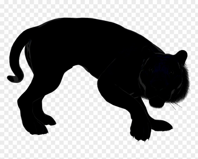Obe Icon Whiskers Cat Dog Breed Snout PNG