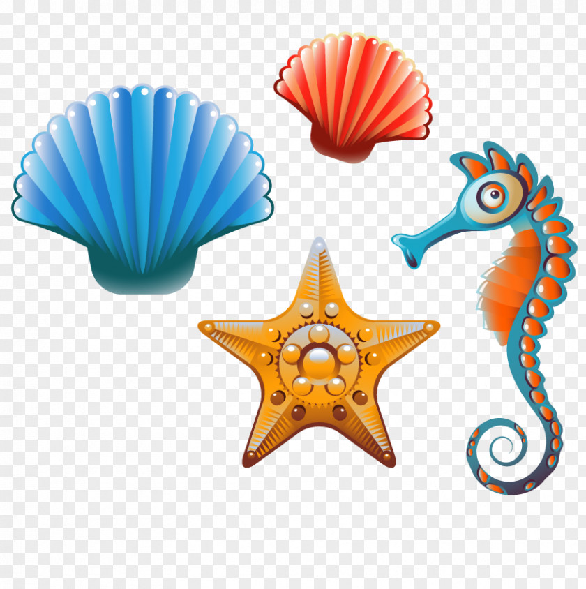 Sea Shells And Creative Class Clam Seashell Cartoon Clip Art PNG