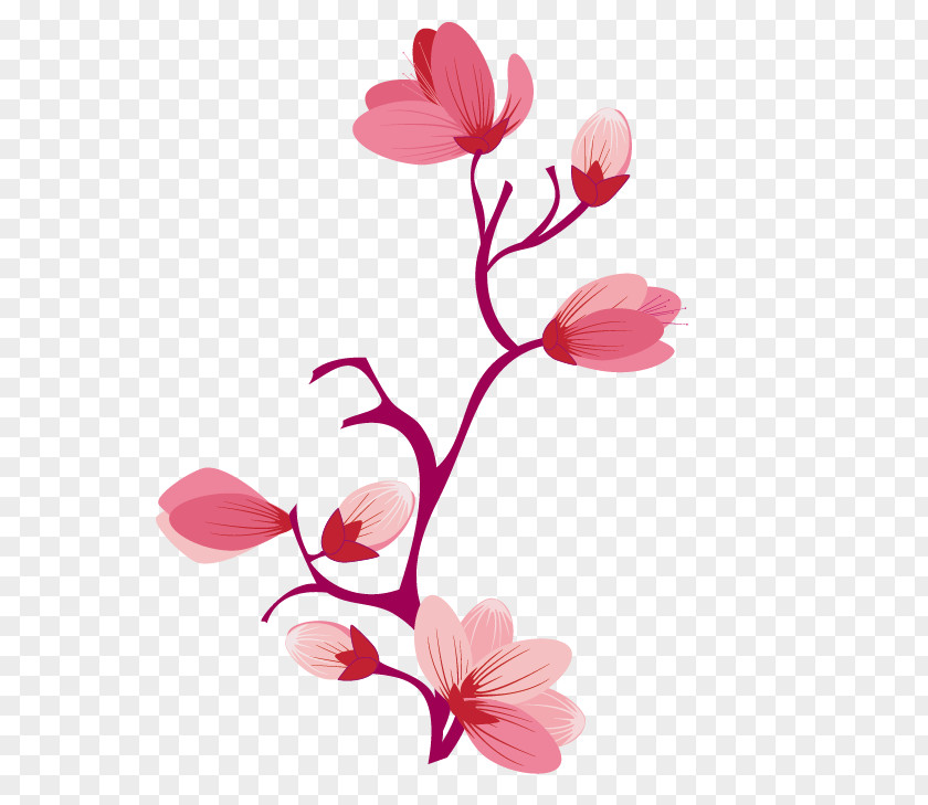Flower Cherry Blossom Cerasus Petal Floral Design PNG