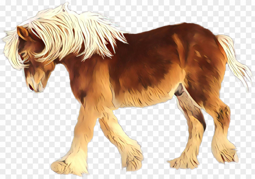 Snout Sorrel Horse Shetland Pony Mane Animal Figure PNG