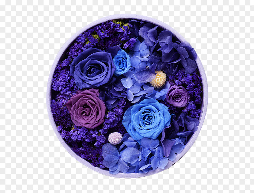 Blue Flower Box Immortalized Buckle Clip Free Rose Floral Design PNG