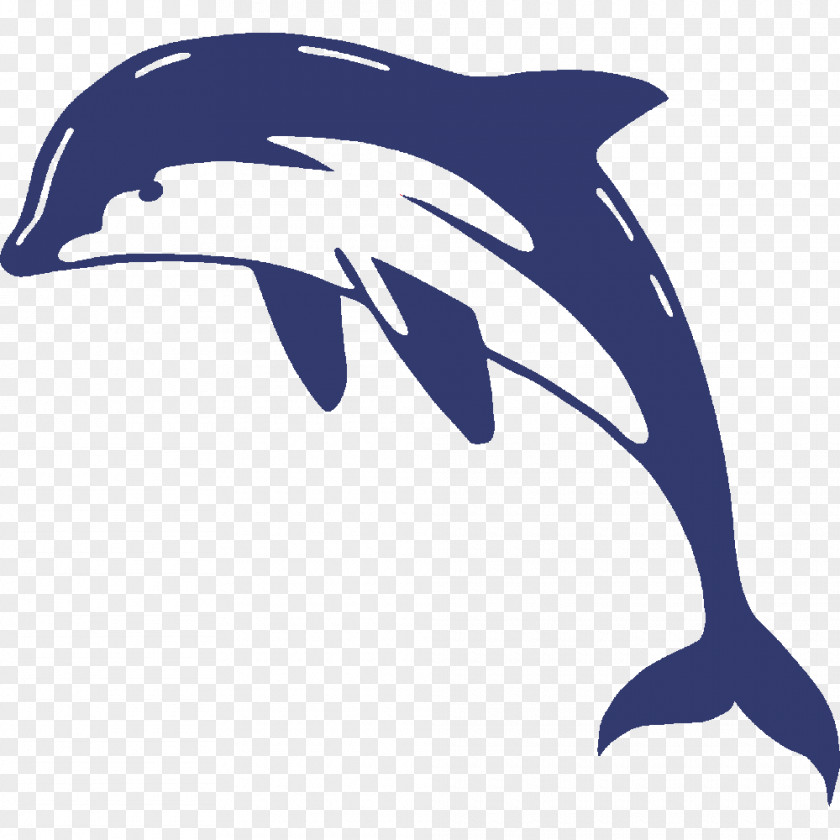 Dolphin Transparent Wall Decal Sticker PNG