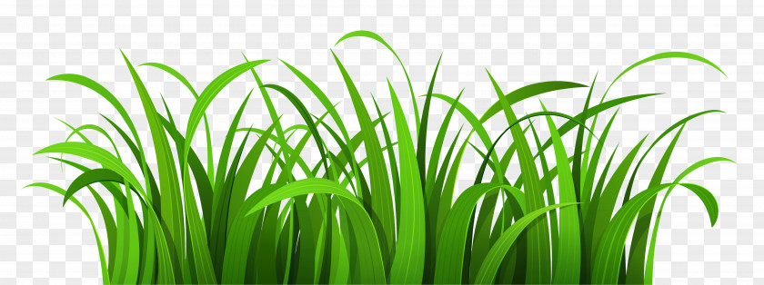 Easter Grass Cliparts Lawn Clip Art PNG