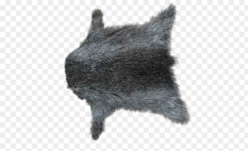 Fur Wall Hanging Dog PNG