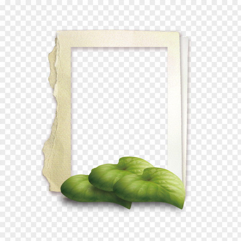 Green Leaf Frame ArtWorks PNG