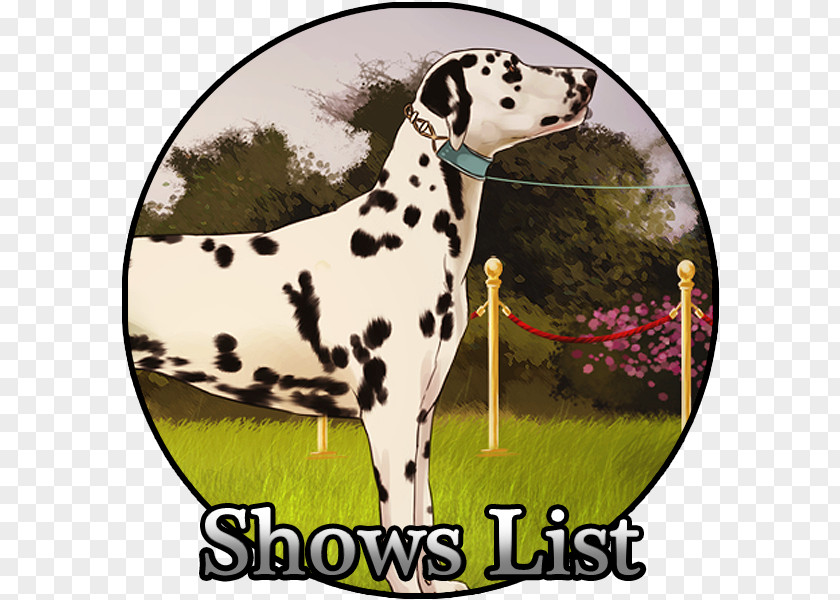 Kennel Club Dalmatian Dog Breed Non-sporting Group PNG