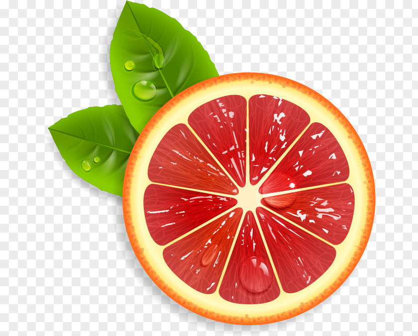 Red Lemon Juice Grapefruit Orange PNG