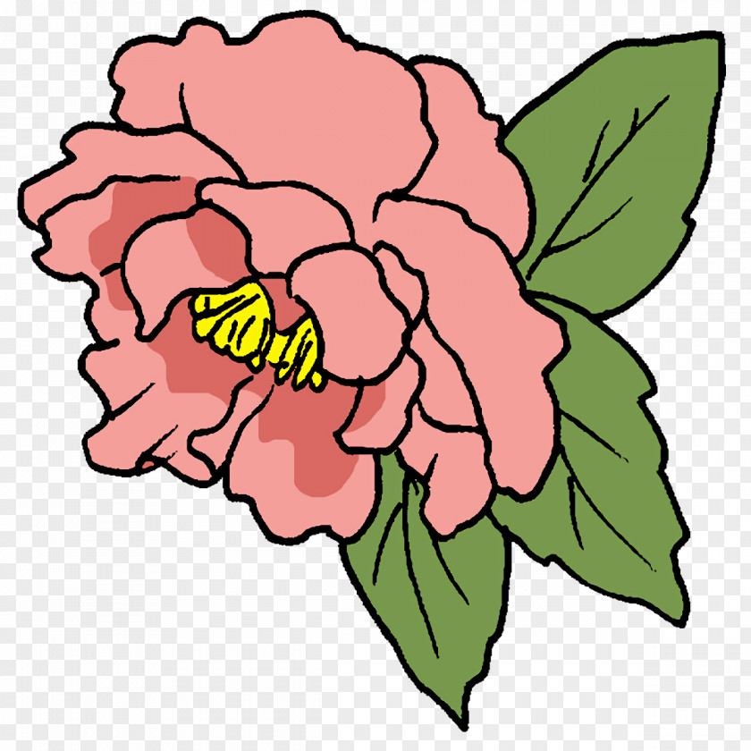 Floral Design PNG