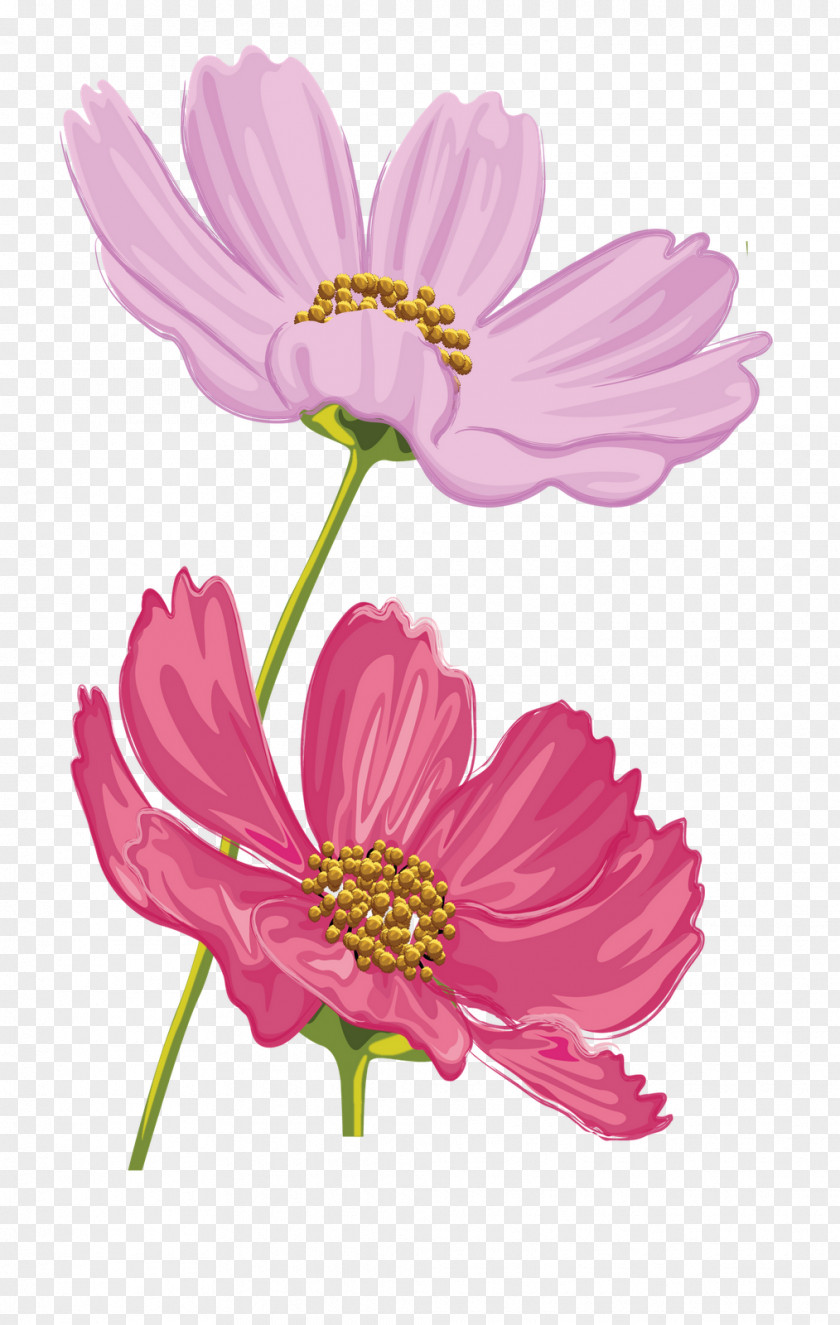 Flower Floral Design Scrapbooking Clip Art PNG