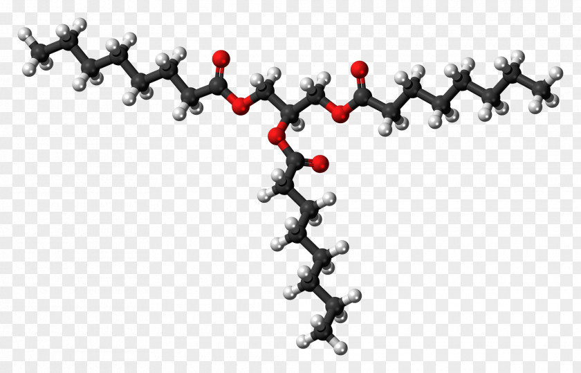 Molecule Tributyrin Triglyceride Glycerol Fat PNG