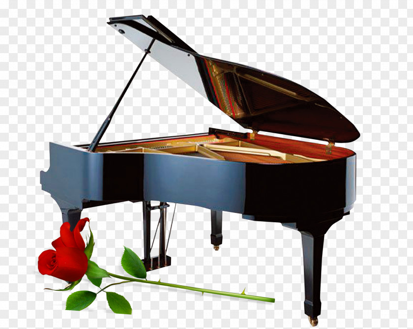 Piano Cello Musical Instrument String Violin PNG
