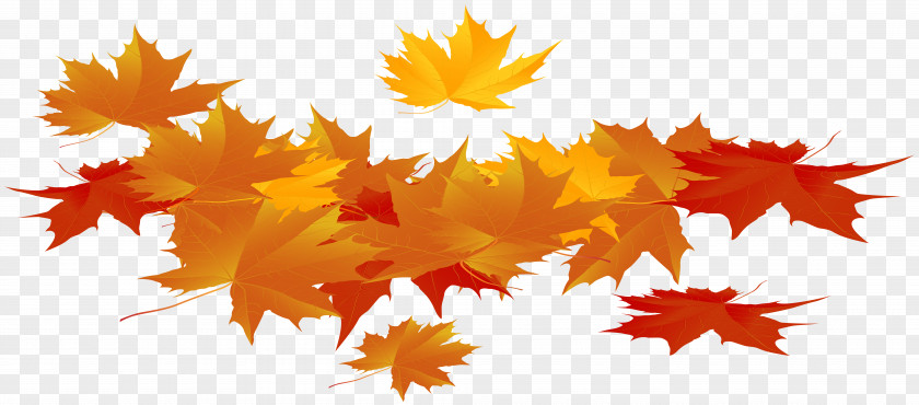 Autumn Clip Art Image Openclipart PNG