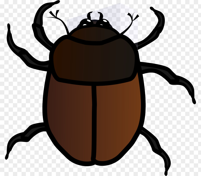Bug Cliparts Volkswagen Beetle Ladybird Clip Art PNG