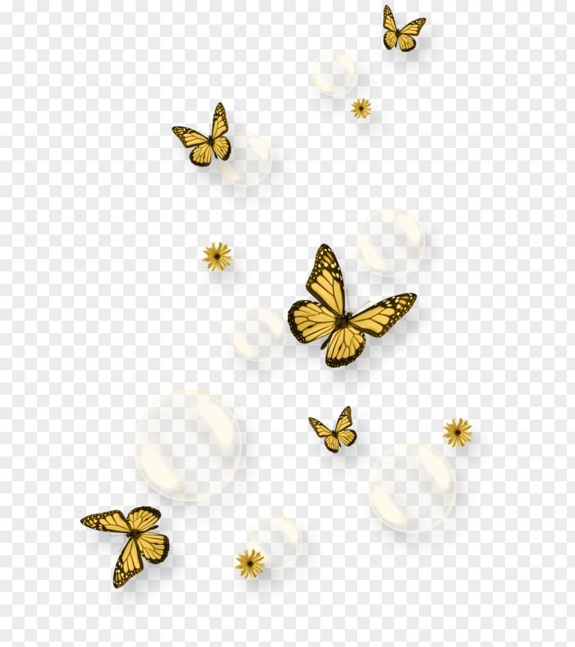 Butterfly Insect Earth PNG