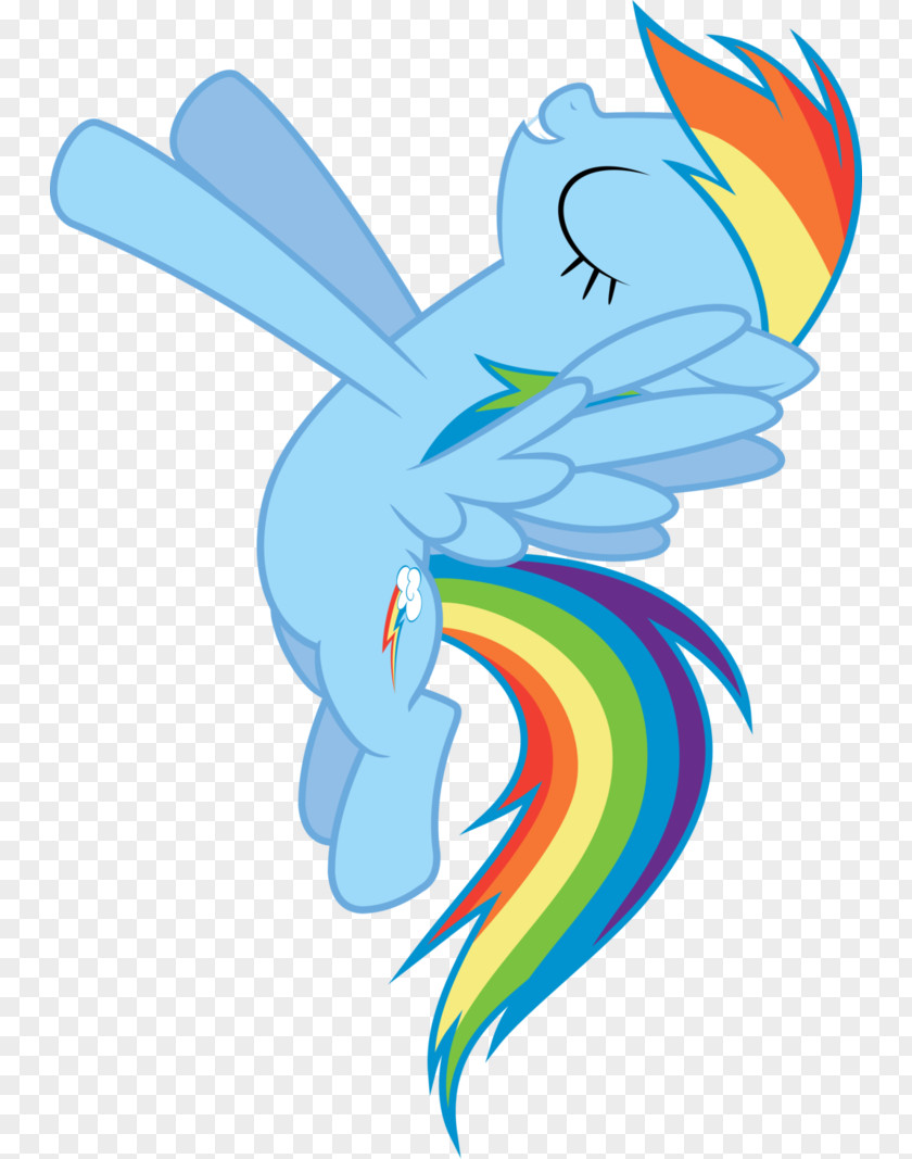 Rainbow Dash Fluttershy Pony Illustration PNG
