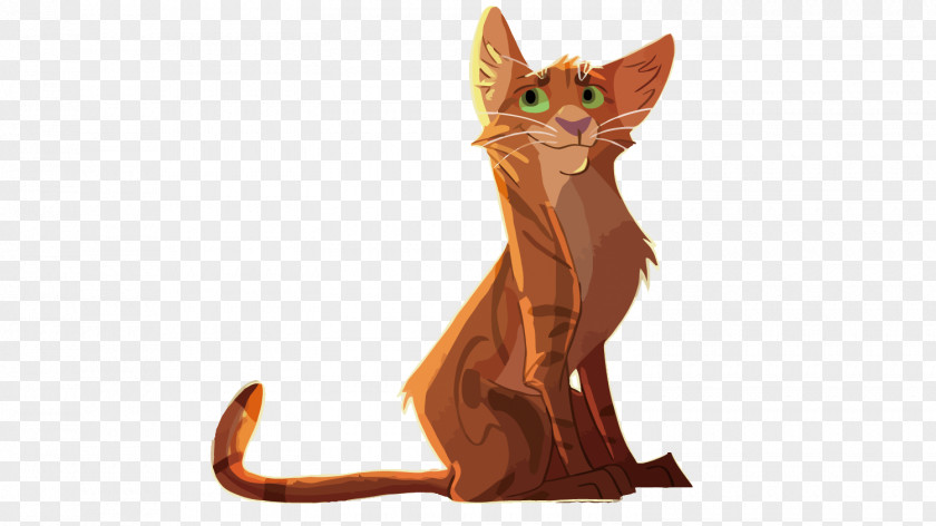 Vector Orange Cat Kitten Whiskers Illustration PNG