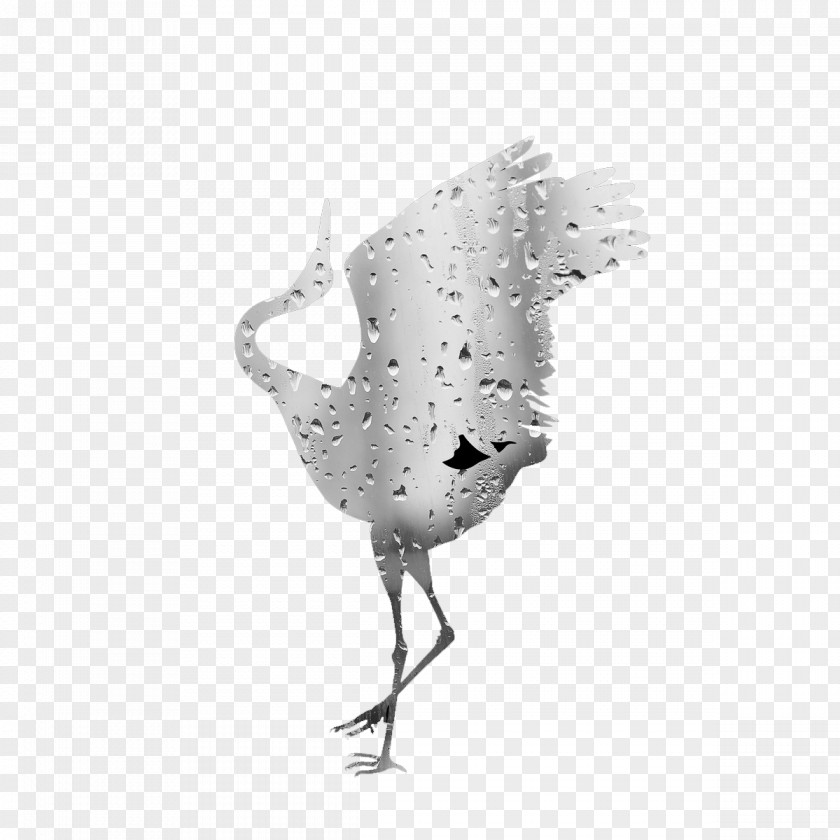 White Water Drops Crane Drop PNG