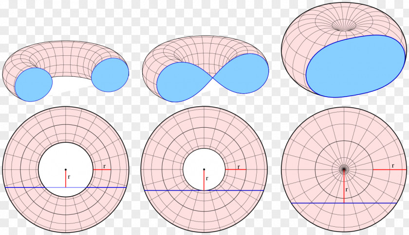 Circle Point Cassini Oval Infinity Symbol Torus PNG