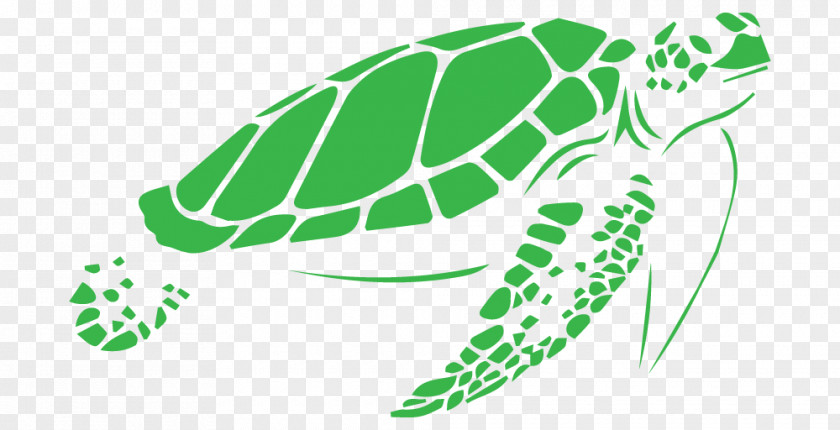 Iguana Cages Best Sea Turtle Stencil Vector Graphics PNG