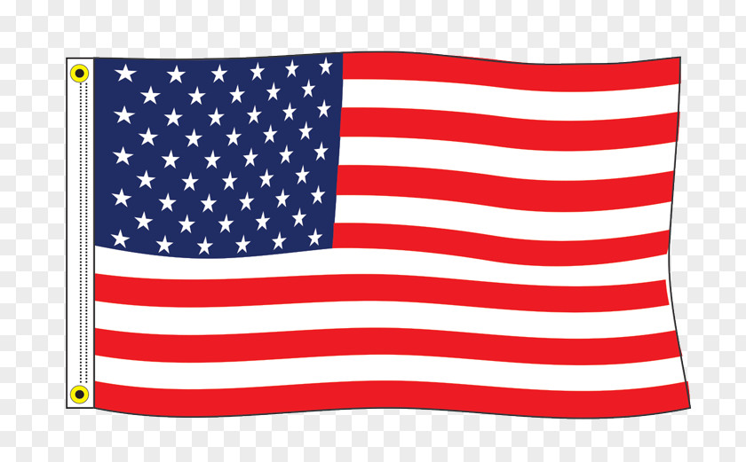 United States Flag Of The Vlaggenlijn Vlag Amerika / USA PNG