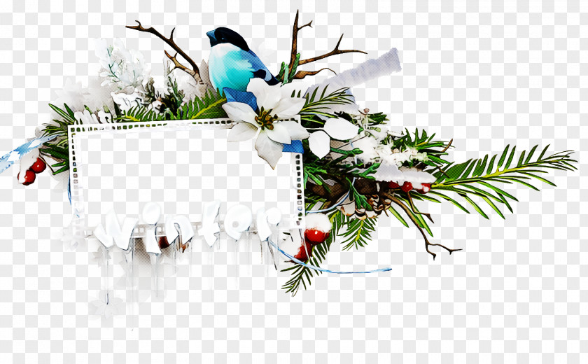 Christmas Frame Border Decor PNG