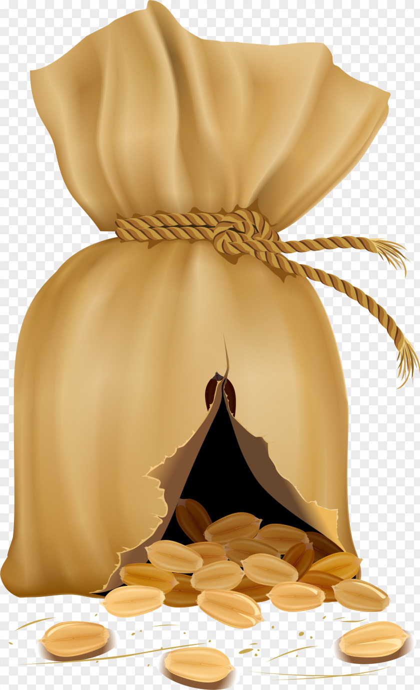 Currency Cuisine Money Bag PNG