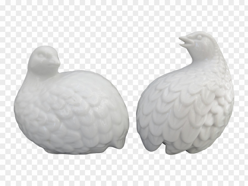 Quail Eggs Water Bird PNG