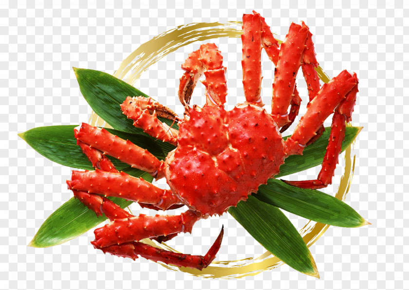 Red King Crab Snow Lithodes Santolla Decapods PNG king crab santolla Decapods, clipart PNG