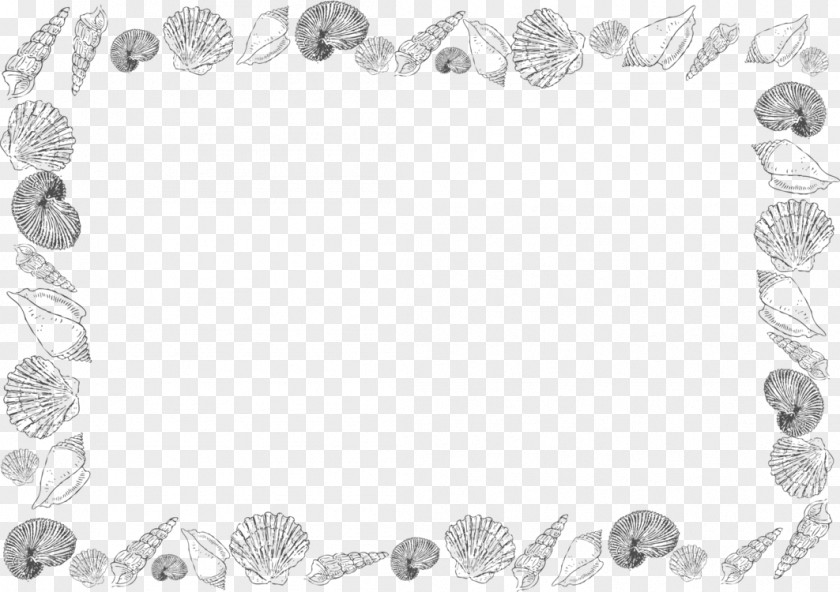 Seashell Borders And Frames Clip Art Decorative PNG