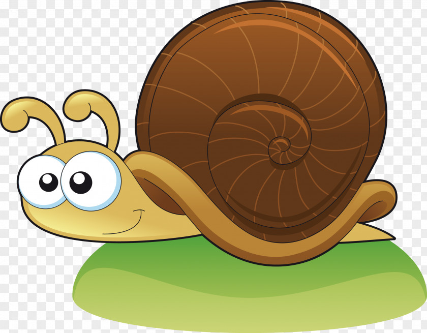 Snail Vector Drawing Slug Clip Art PNG