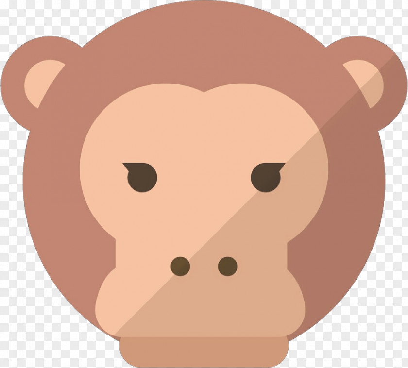 Cartoon Bear Head Nose Brown PNG