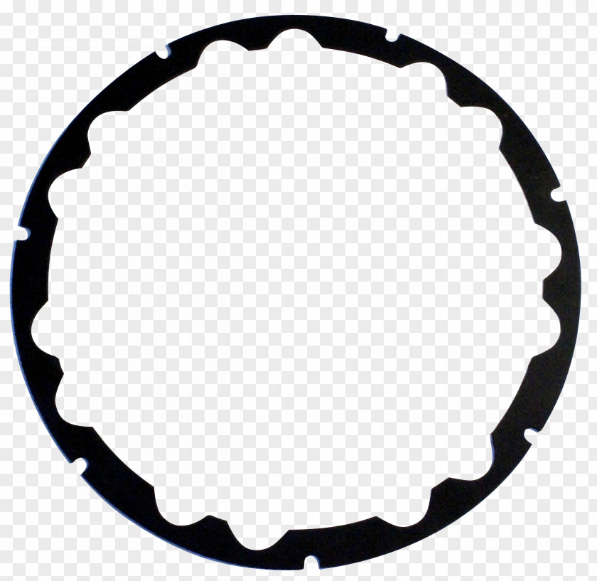 Circle Flower Disk PNG