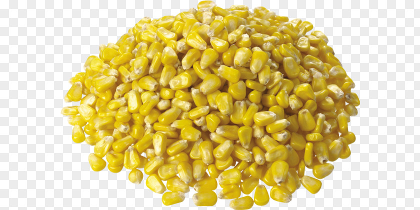 Inde Corn On The Cob Maize Kernel Sweet PNG
