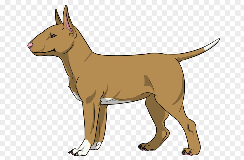 Red Bull Terrier Dog Breed Non-sporting Group Fauna Snout PNG