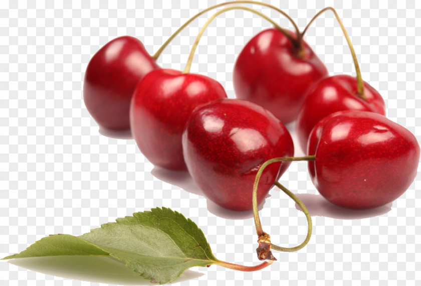 Cherry Fruit Red Cerise PNG