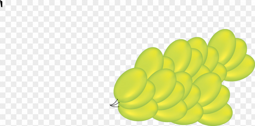 Design Fruit PNG