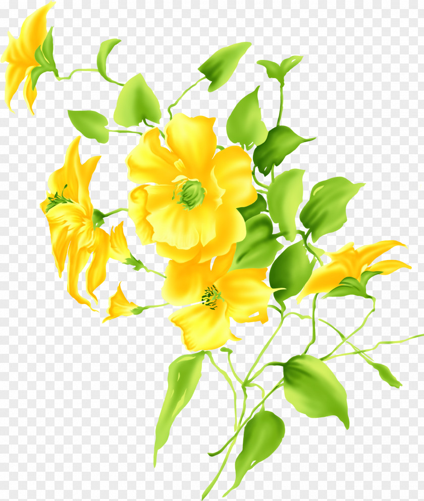 Lily Yellow Flower Drawing Clip Art PNG