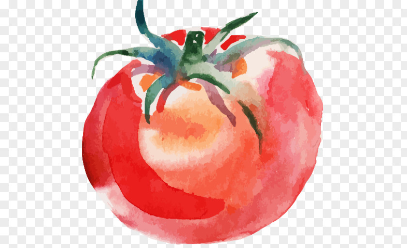 Painting Tomato Soup Watercolor Drawing PNG