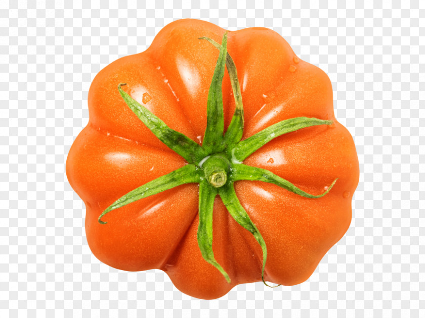 Tomato Plum Bell Pepper Habanero Sauce PNG