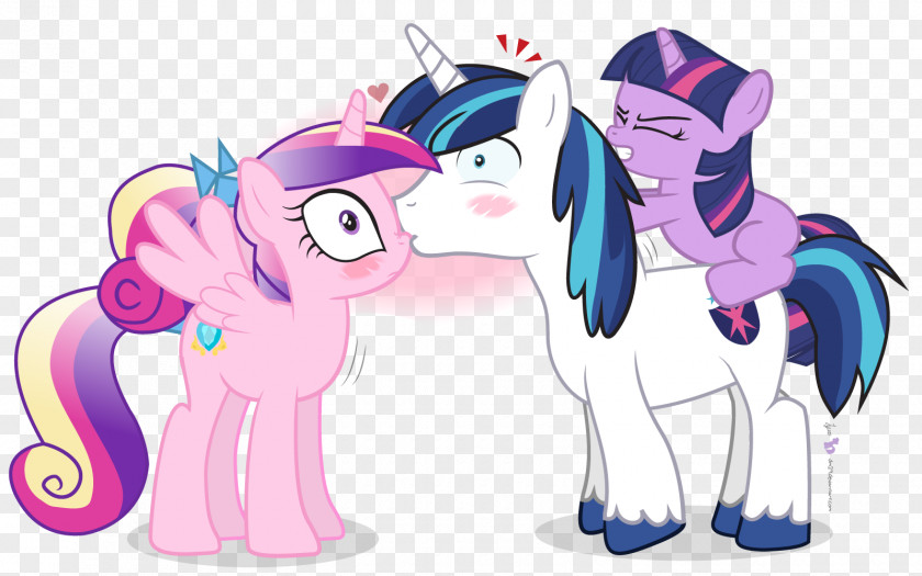 2.14 Princess Cadance Twilight Sparkle & Shining Armor Rainbow Dash PNG