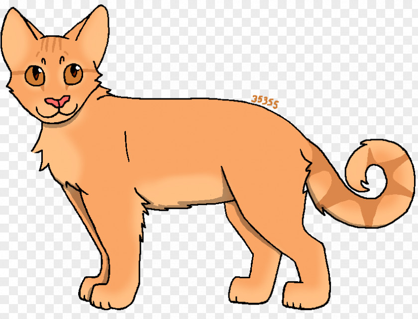 Cat Whiskers Cougar Lion Red Fox PNG