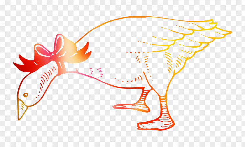 Chicken Illustration Bird Clip Art Beak PNG