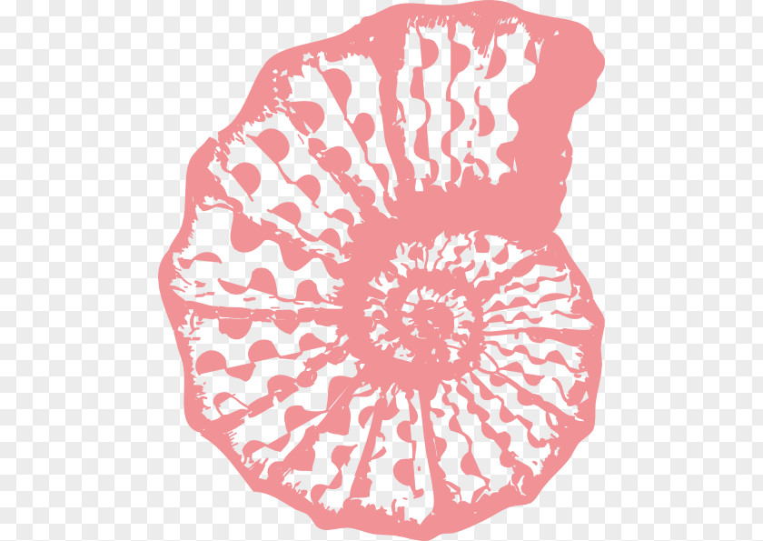 Coral Cliparts Seashell Clip Art PNG