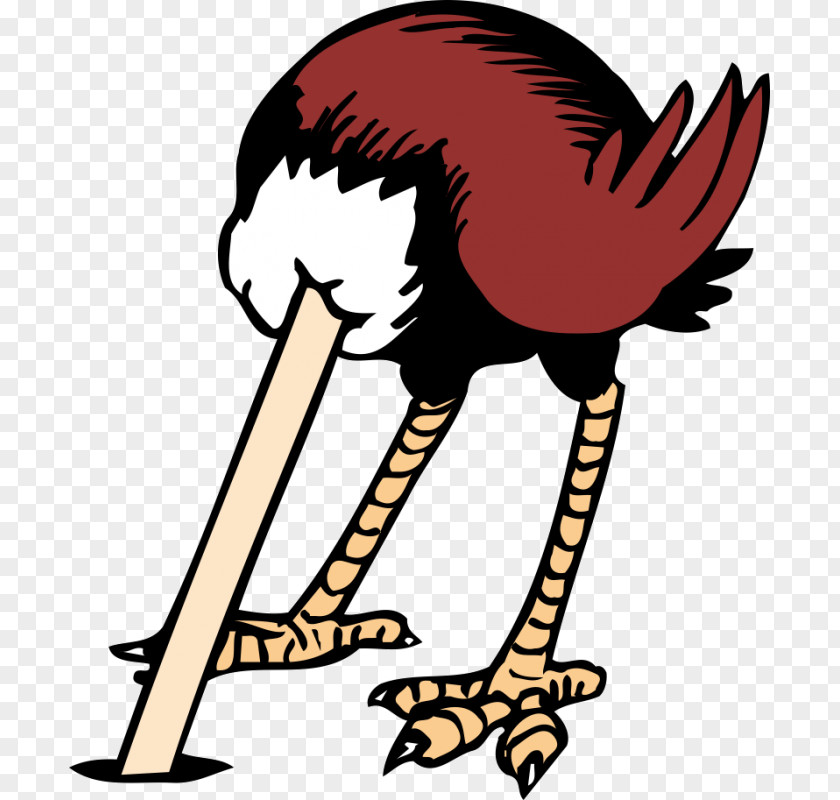 Creative Ostrich Common Clip Art PNG